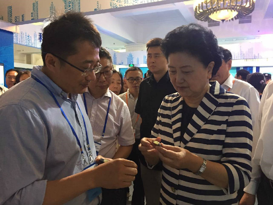 刘延东副总理参观杏福脑起搏器展台